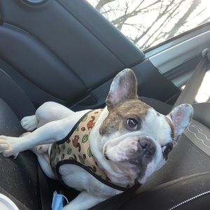 Meet your Posher, Jeremy